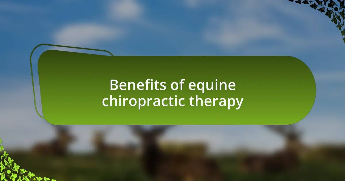 Benefits of equine chiropractic therapy