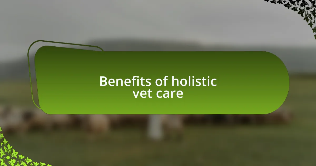 Benefits of holistic vet care