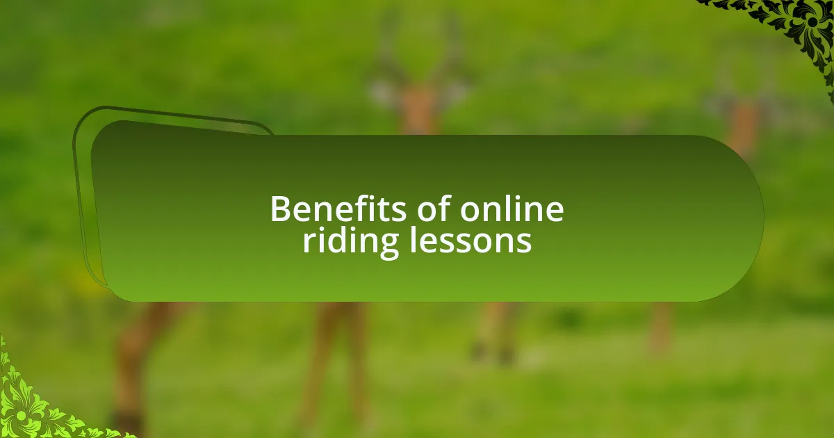 Benefits of online riding lessons