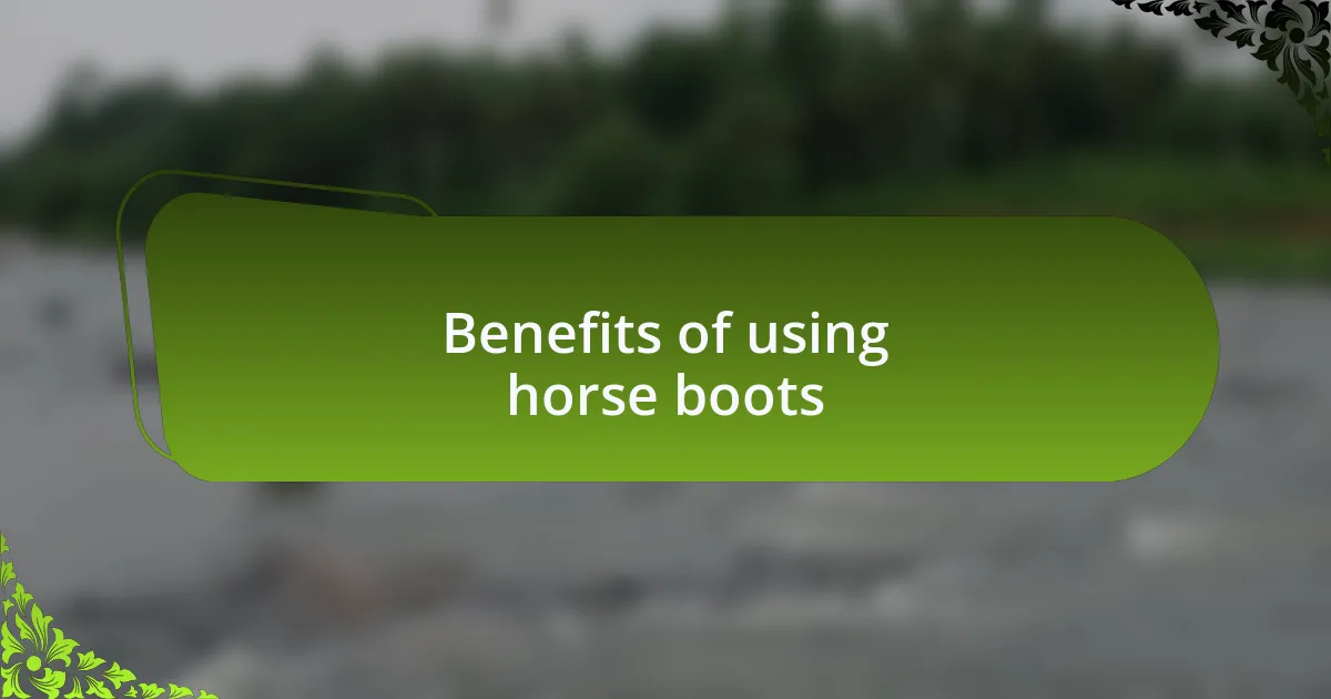 Benefits of using horse boots
