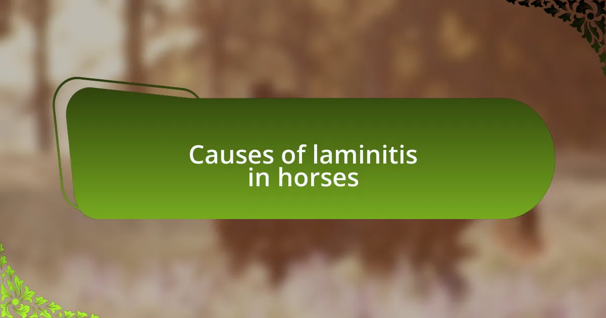 Causes of laminitis in horses