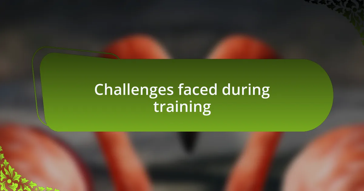 Challenges faced during training