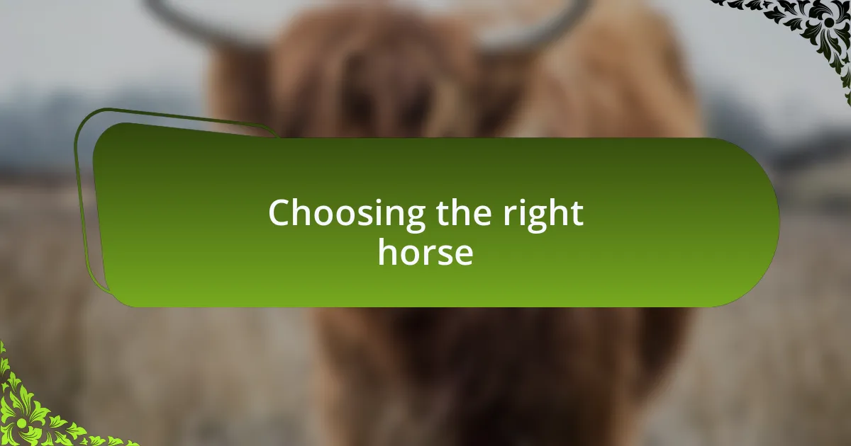 Choosing the right horse