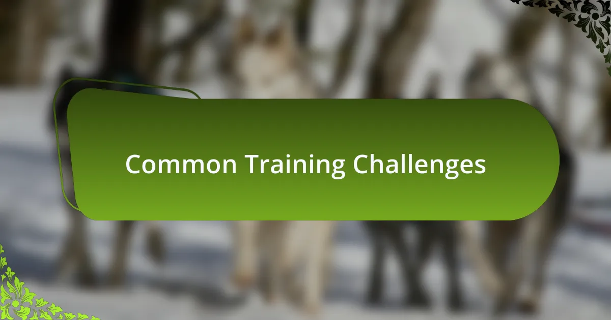Common Training Challenges