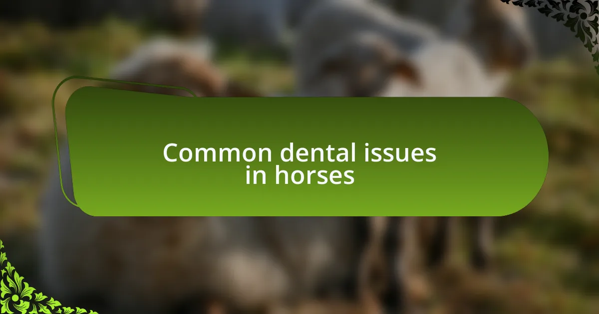 Common dental issues in horses