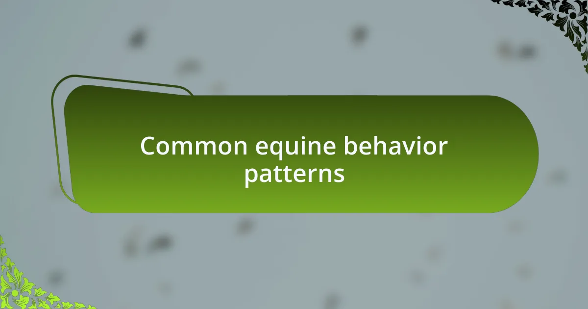Common equine behavior patterns