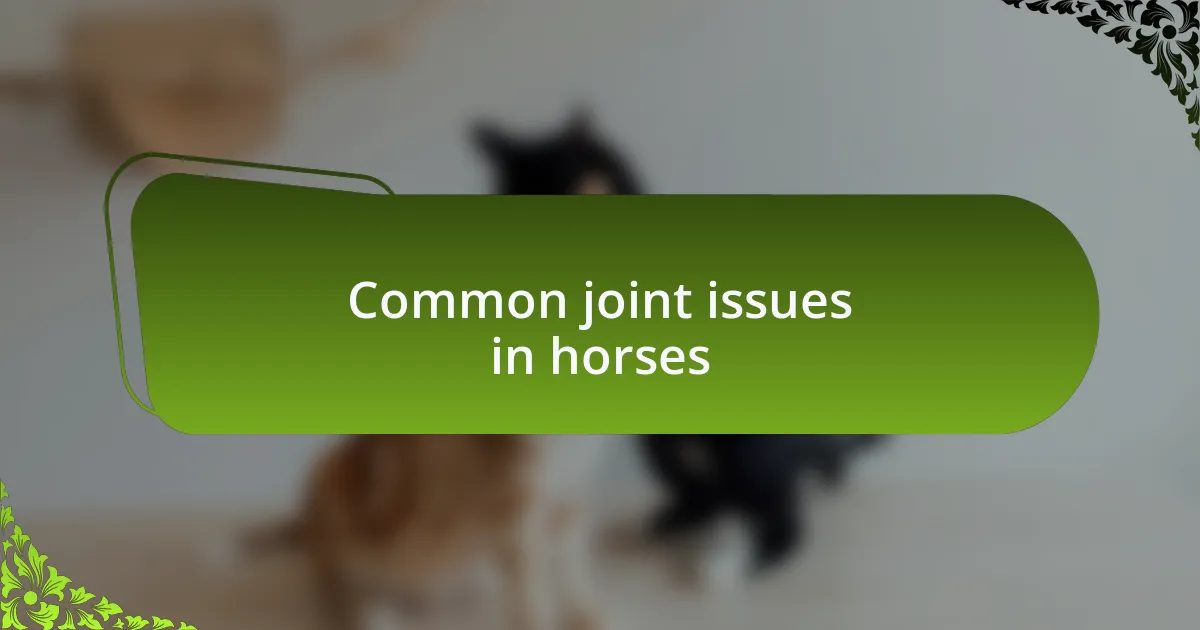 Common joint issues in horses