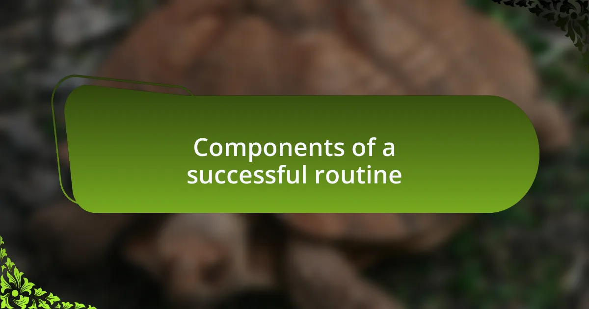 Components of a successful routine