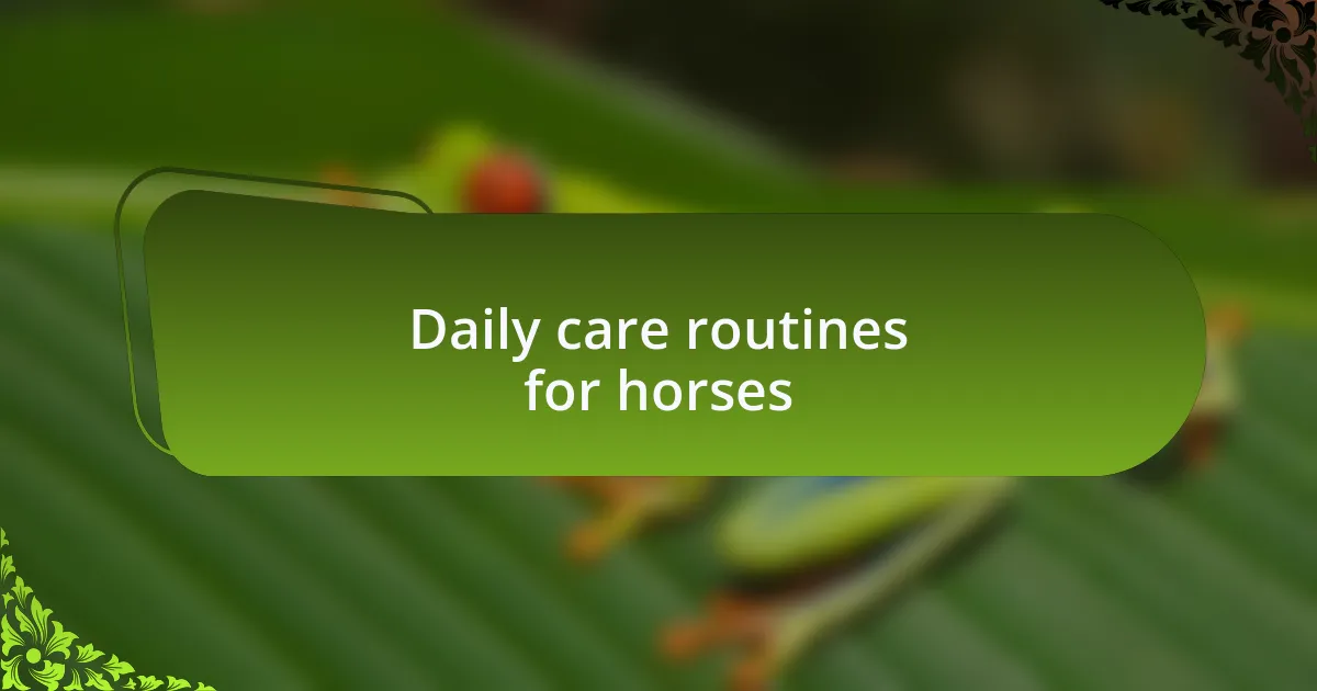 Daily care routines for horses
