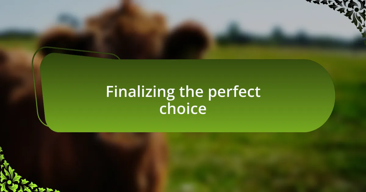 Finalizing the perfect choice