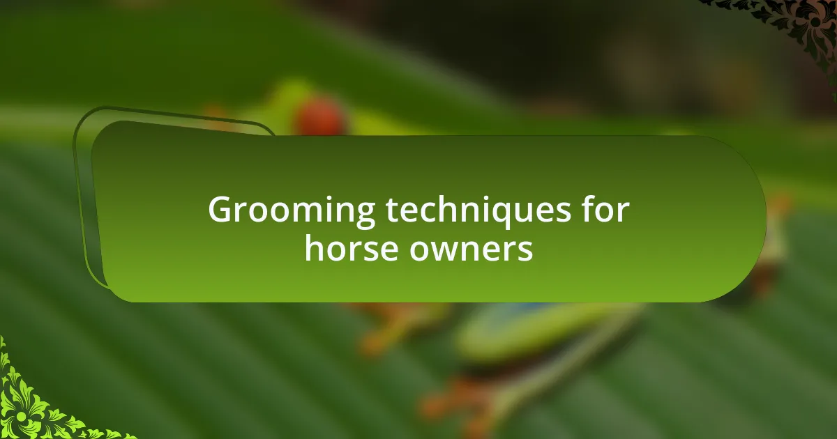 Grooming techniques for horse owners
