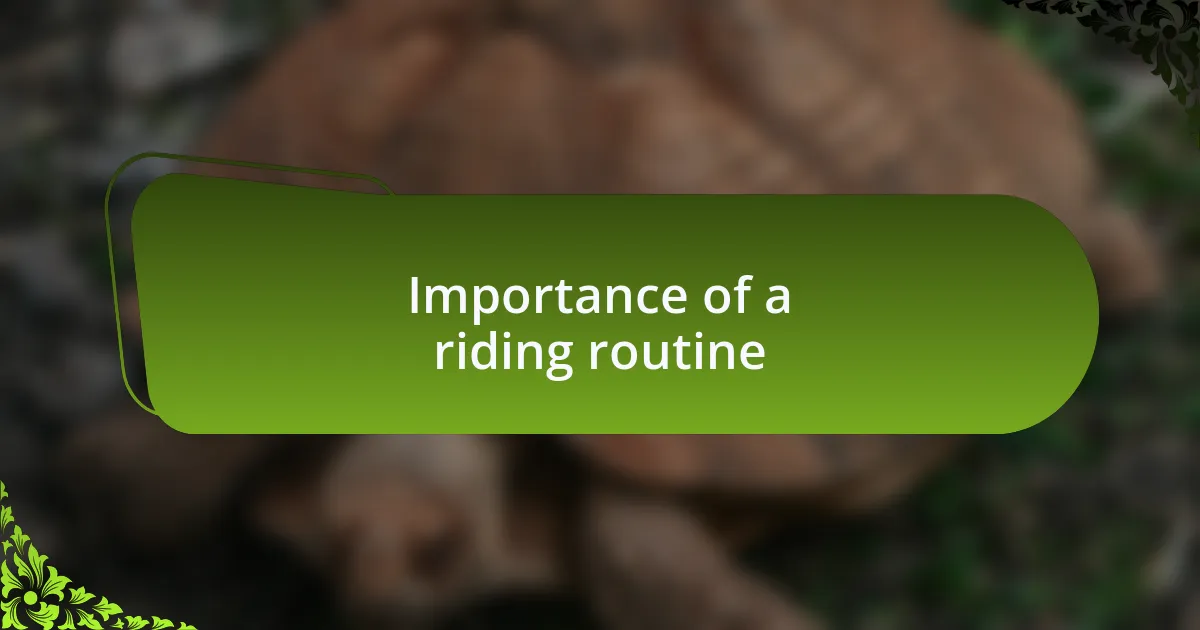 Importance of a riding routine