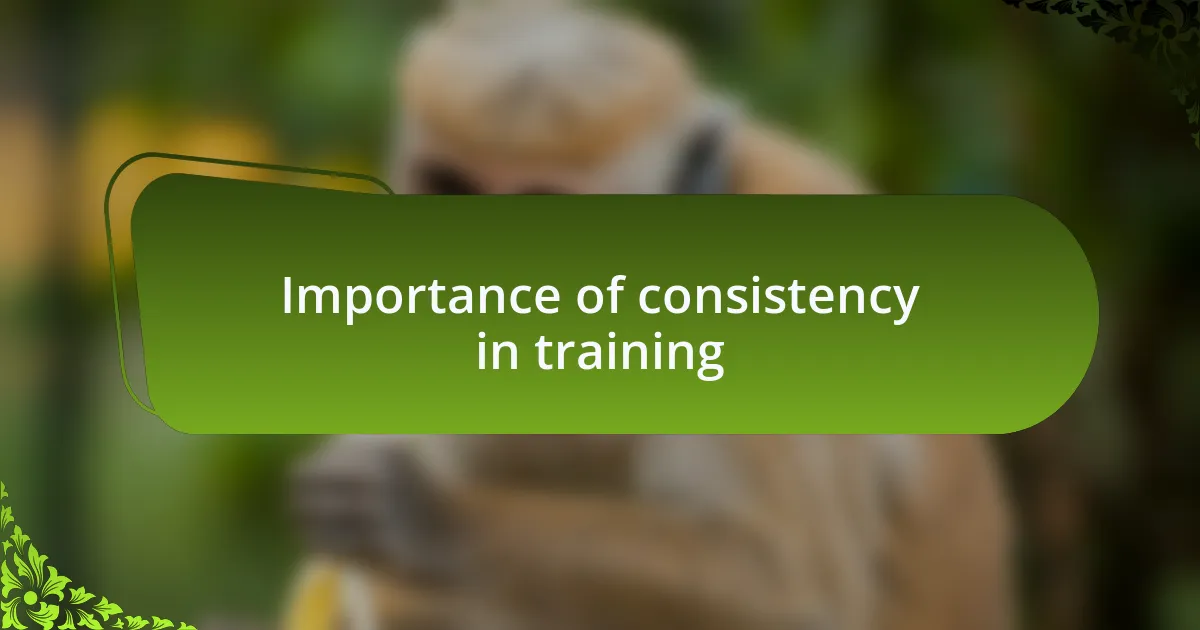 Importance of consistency in training