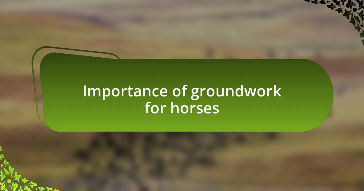 Importance of groundwork for horses