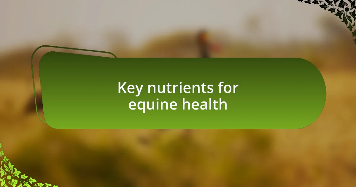 Key nutrients for equine health