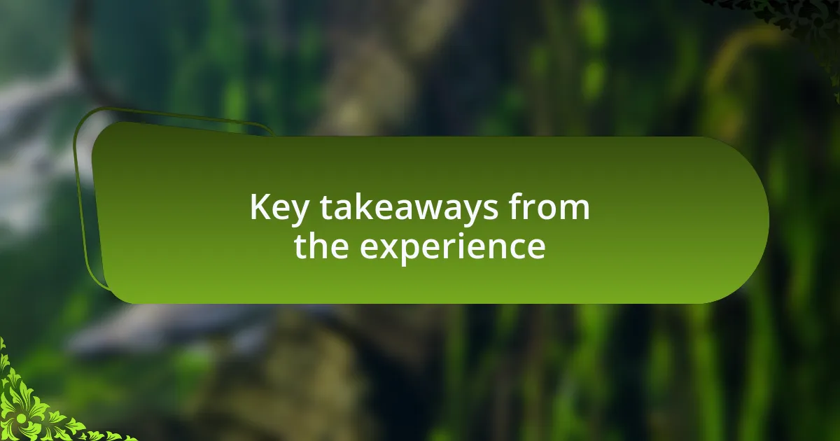 Key takeaways from the experience