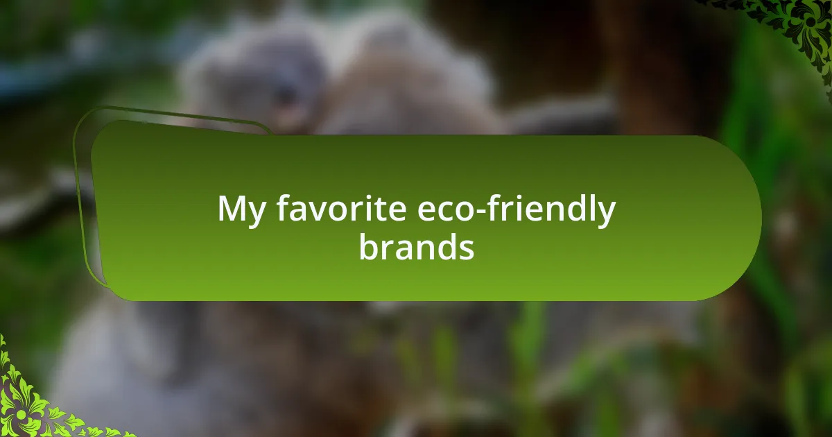 My favorite eco-friendly brands