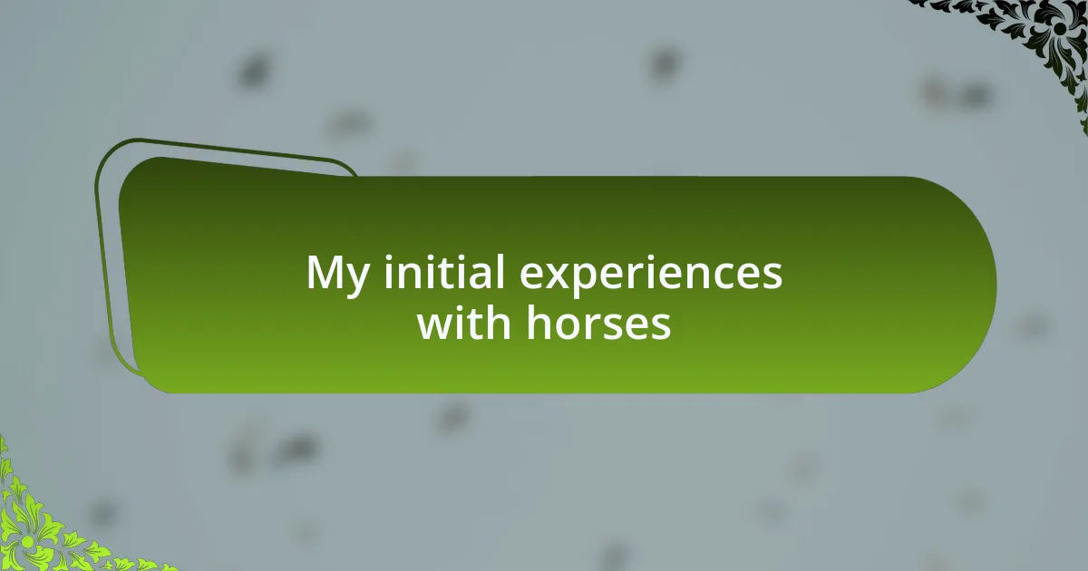My initial experiences with horses