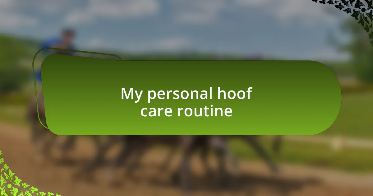 My personal hoof care routine