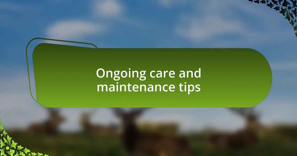 Ongoing care and maintenance tips