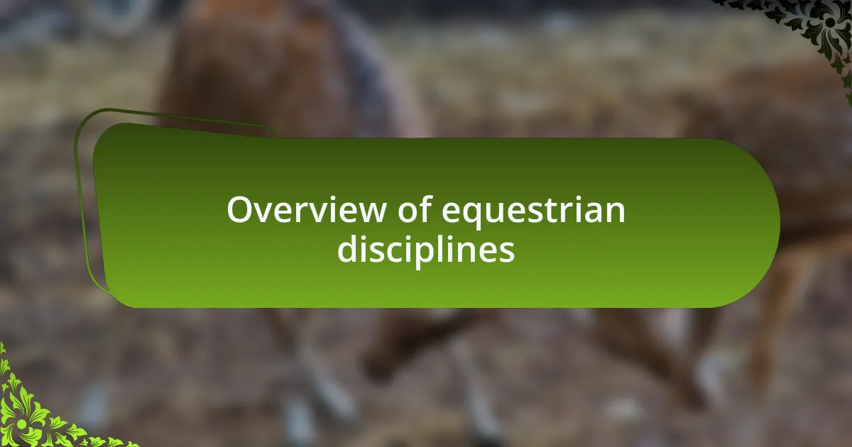Overview of equestrian disciplines