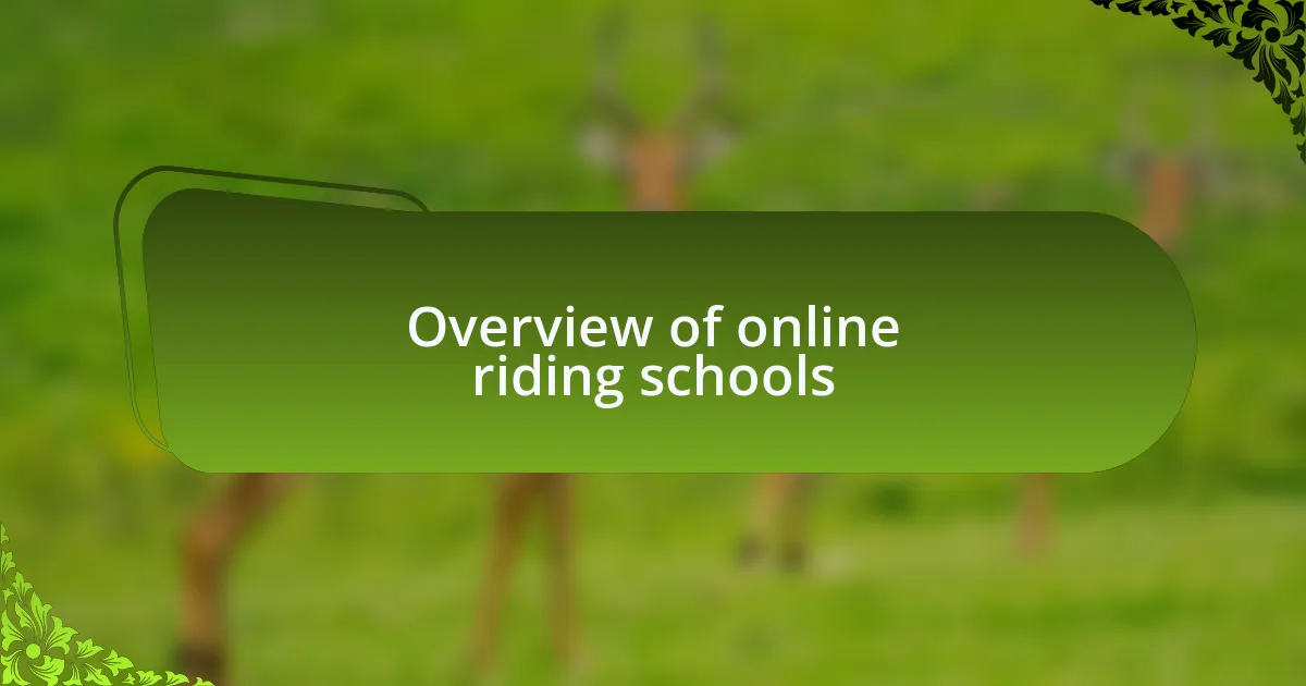 Overview of online riding schools