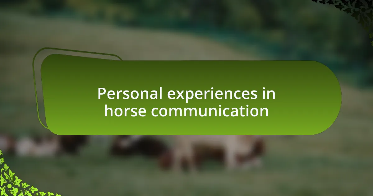 Personal experiences in horse communication