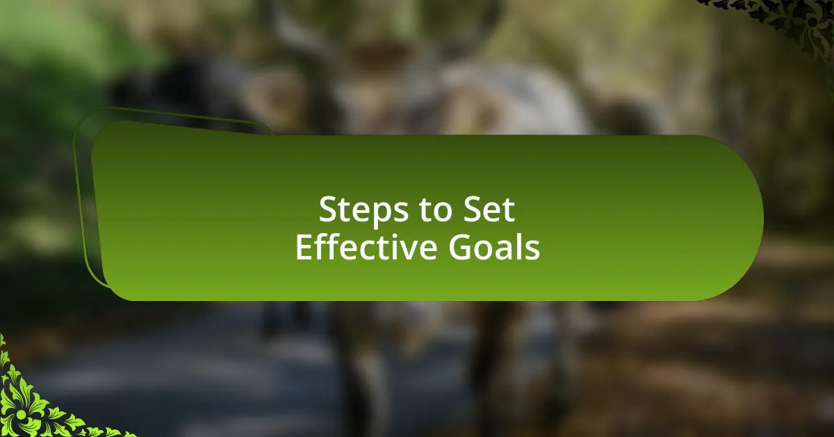Steps to Set Effective Goals