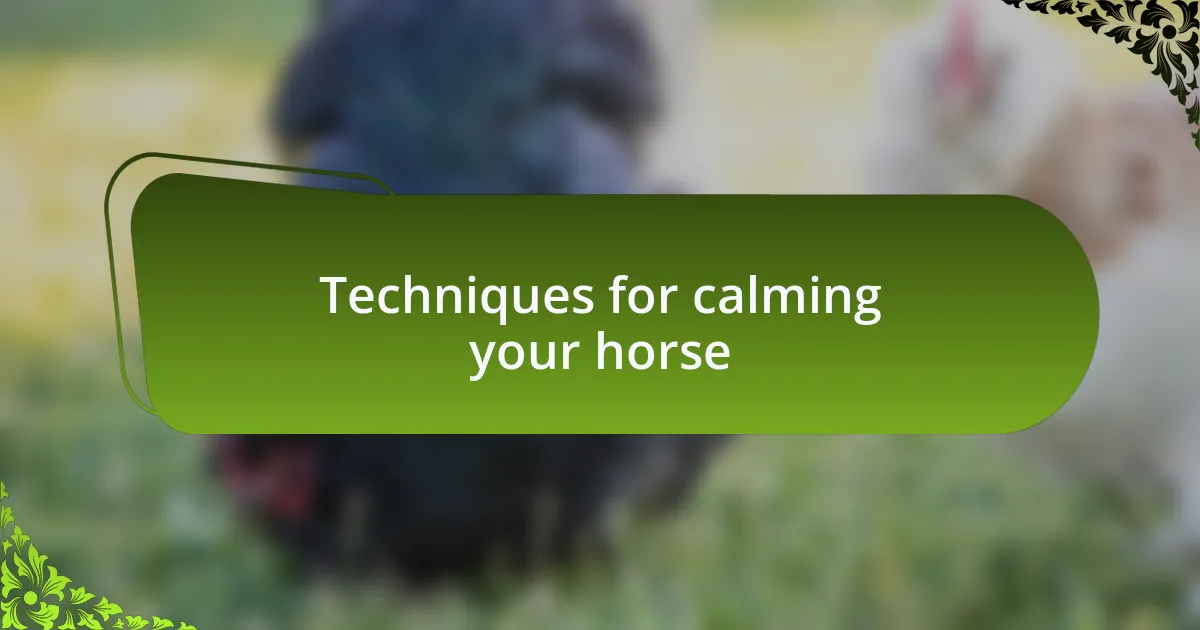 Techniques for calming your horse