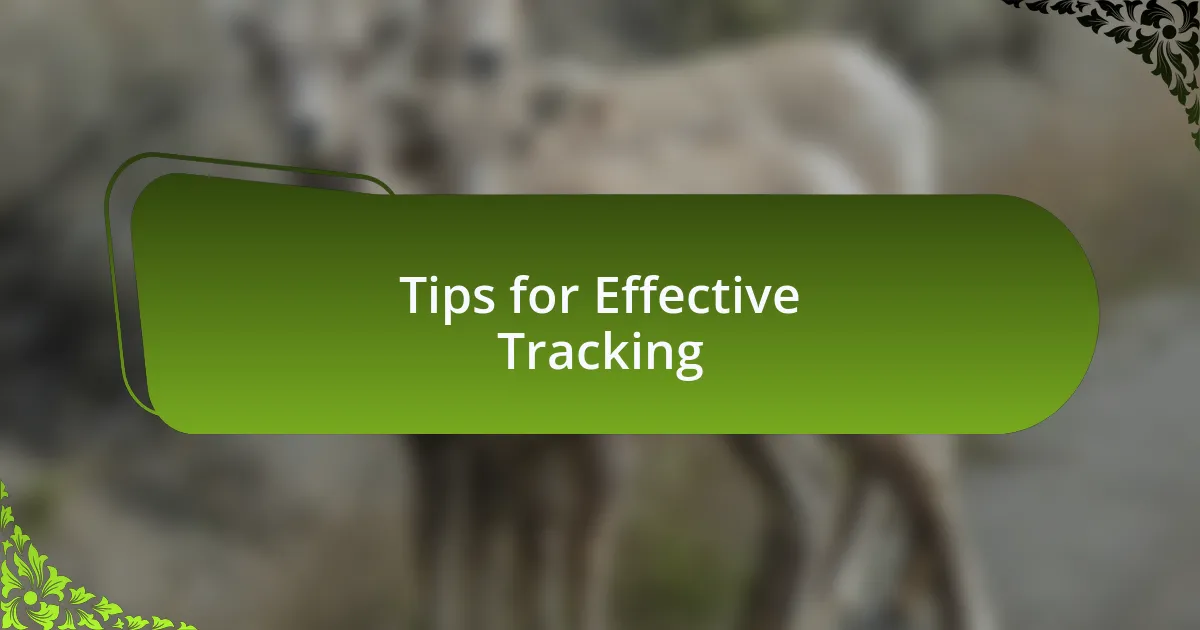 Tips for Effective Tracking