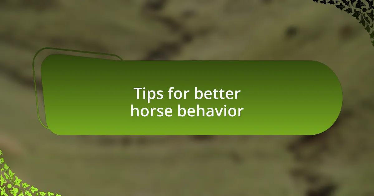 Tips for better horse behavior