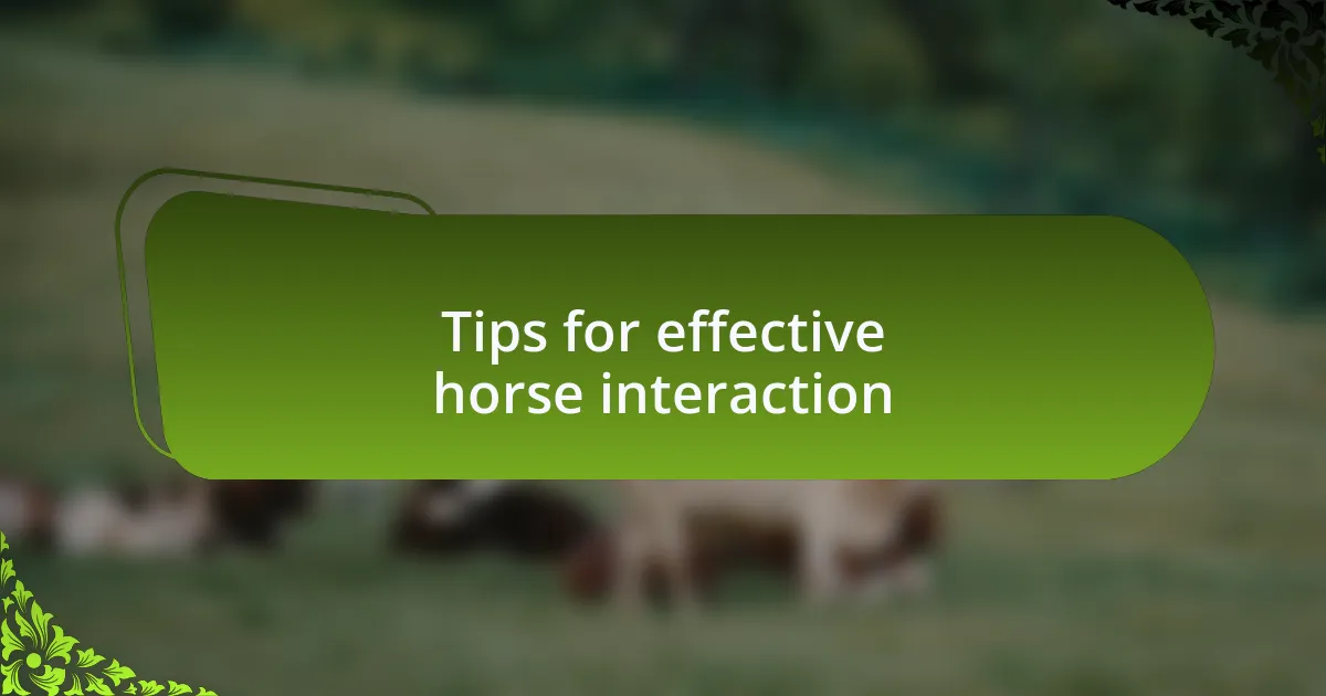 Tips for effective horse interaction