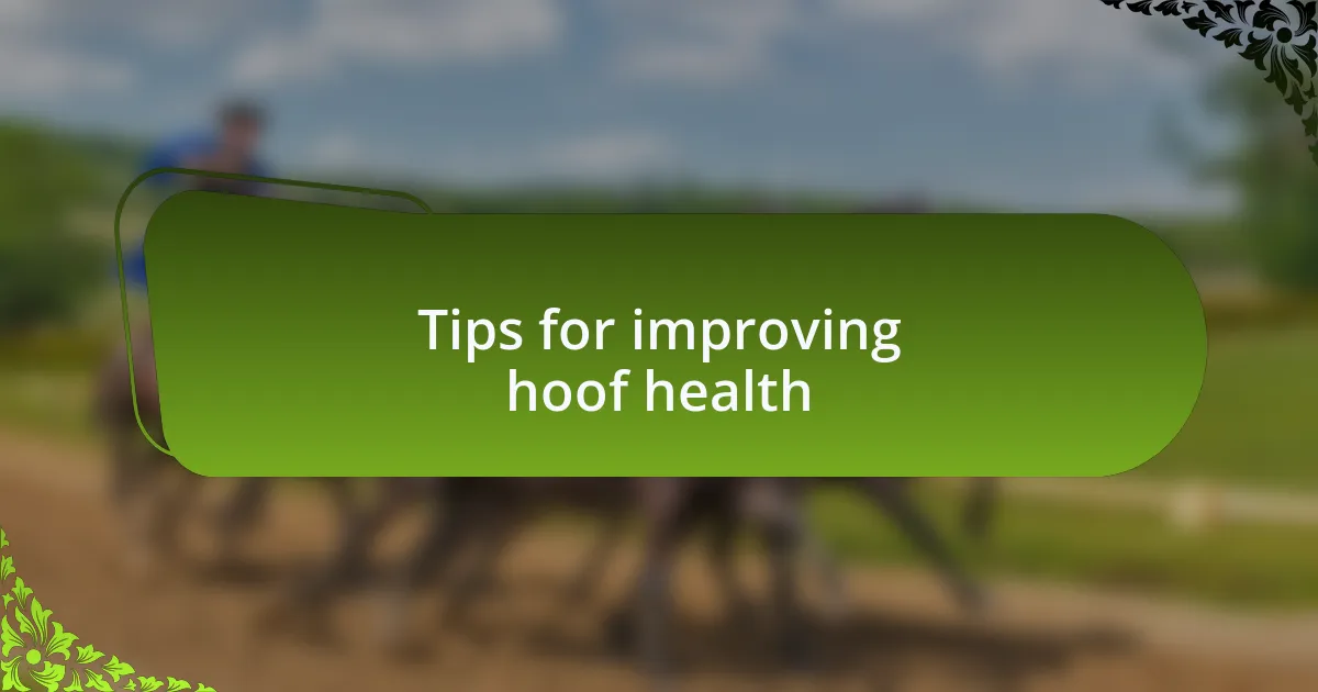 Tips for improving hoof health