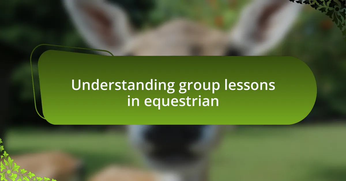 Understanding group lessons in equestrian