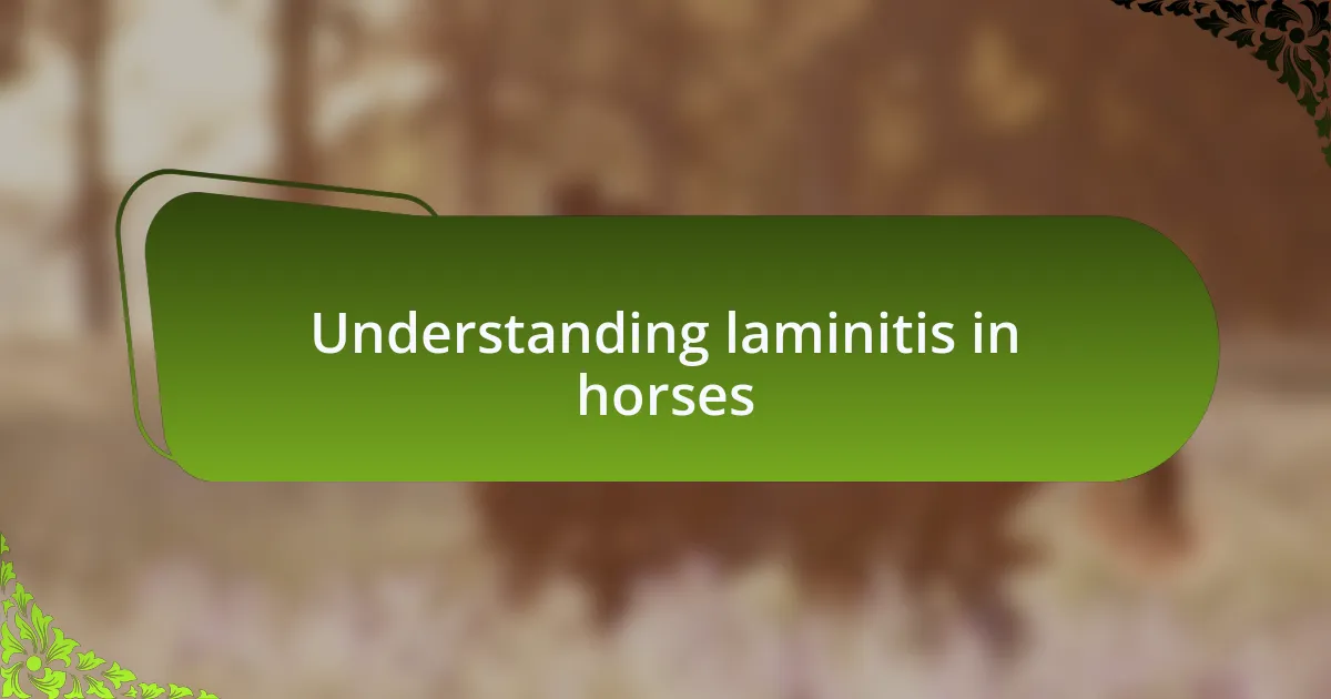 Understanding laminitis in horses