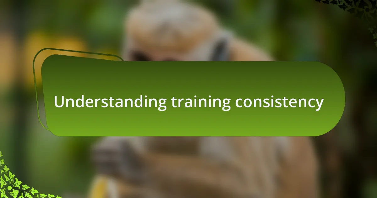 Understanding training consistency